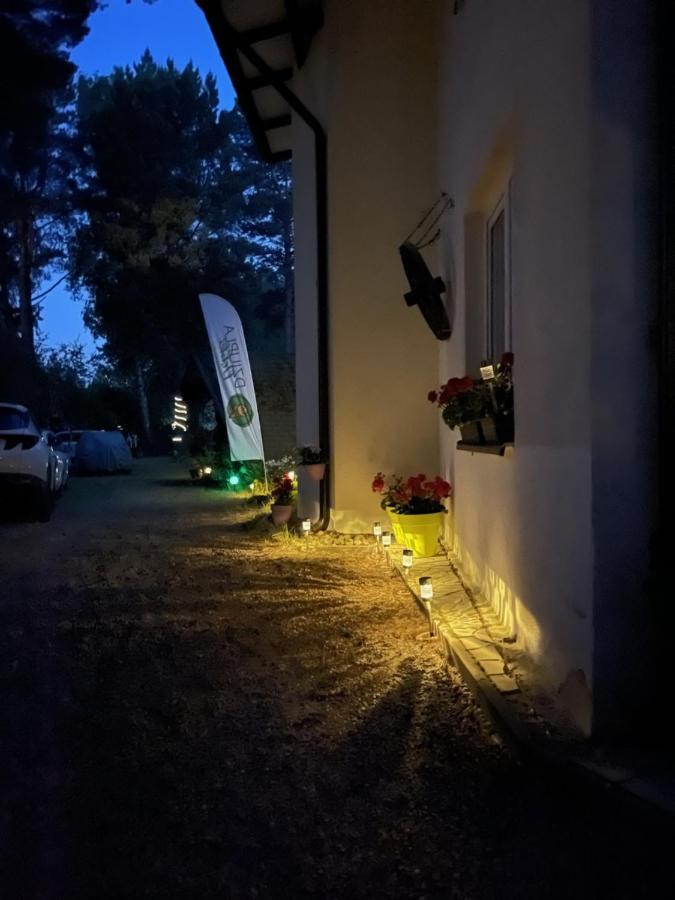 Hotel Dziupla Dębki Exterior foto